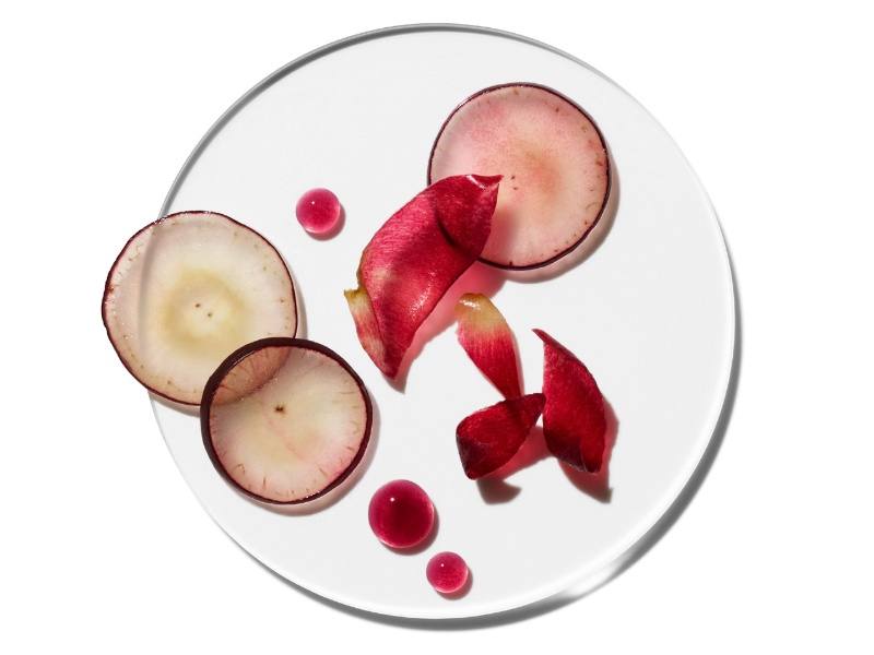 The Cosmetics Company Store logo