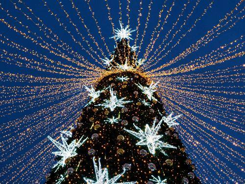 Tree Lighting in Myrtle Beach Hwy 17 Tanger