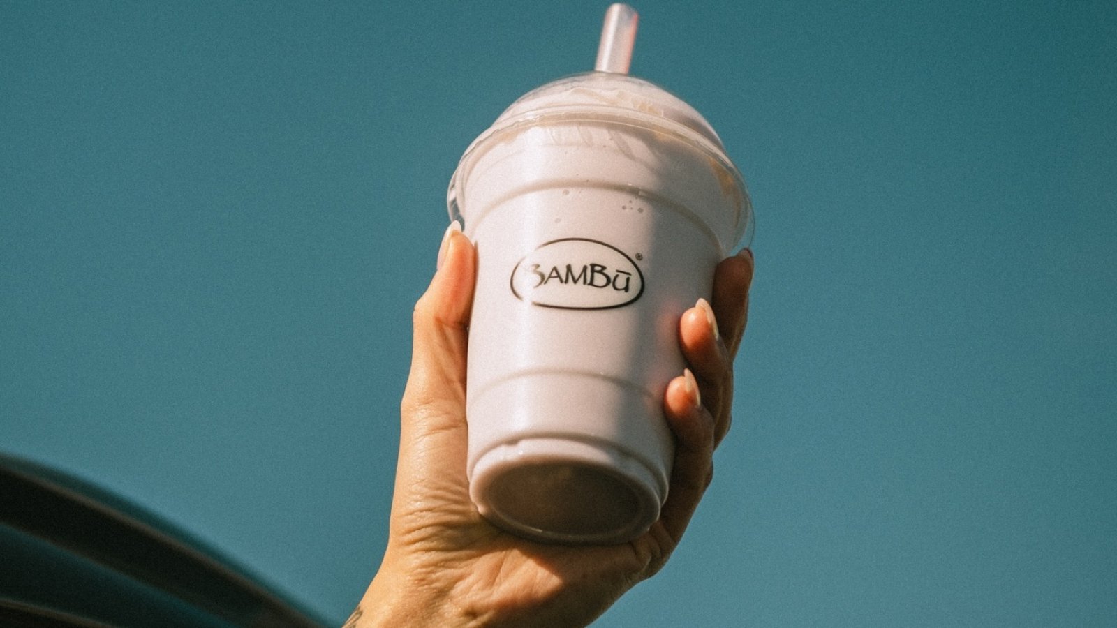 Bambu logo