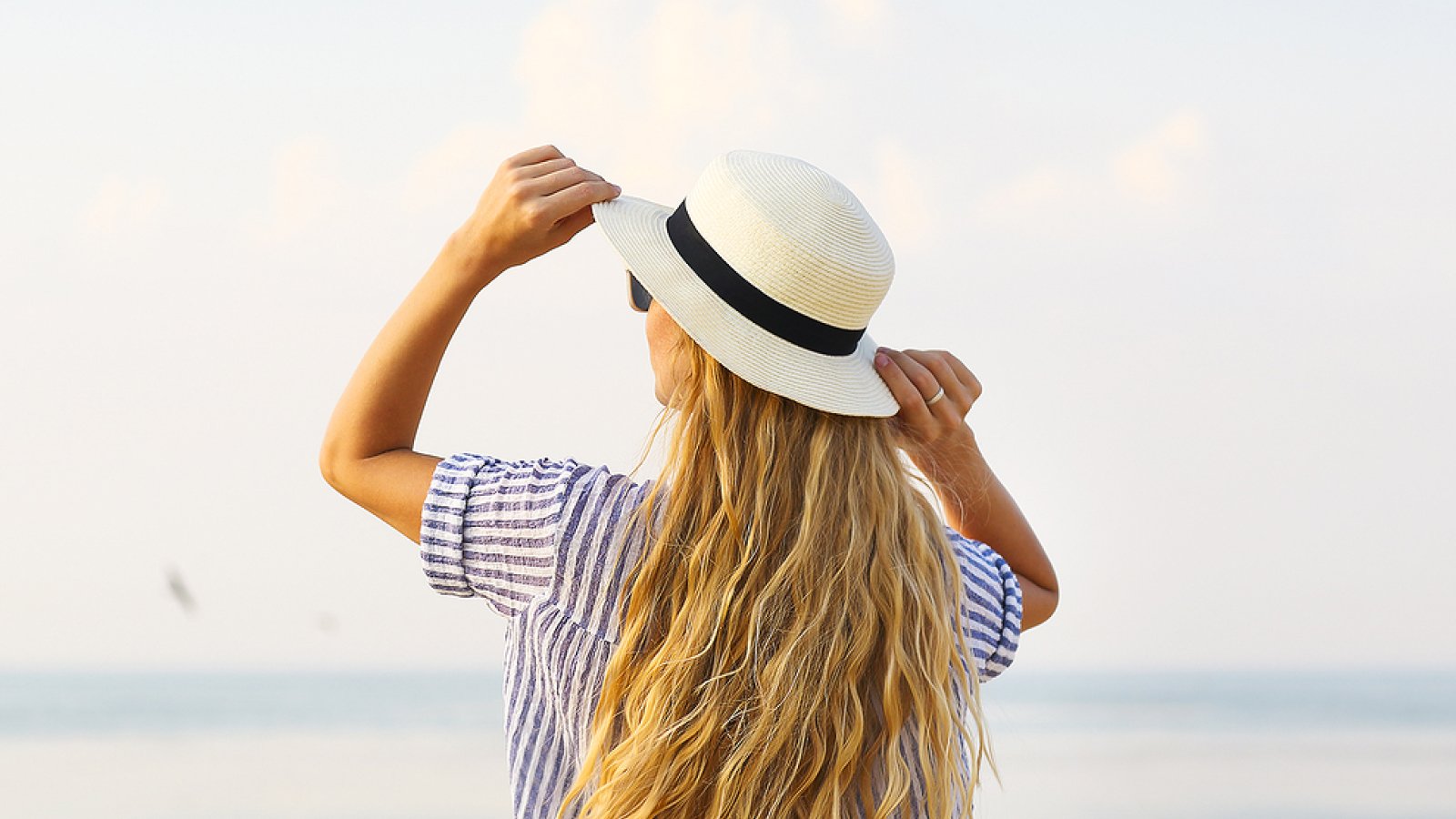 Sand Dollar Lifestyles logo