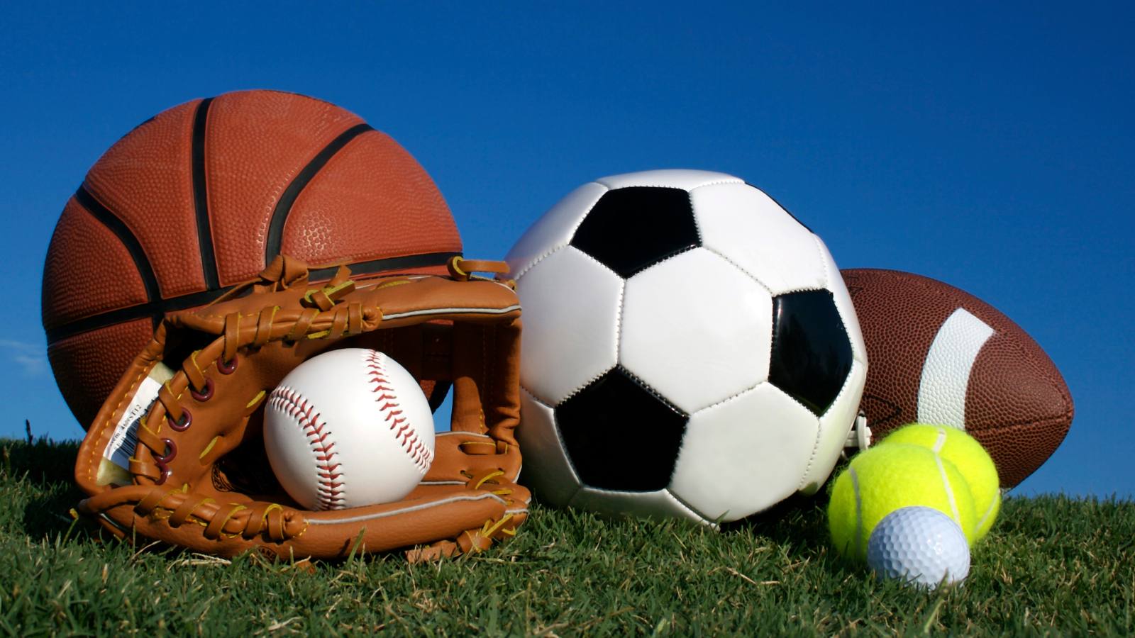 College Collectibles logo