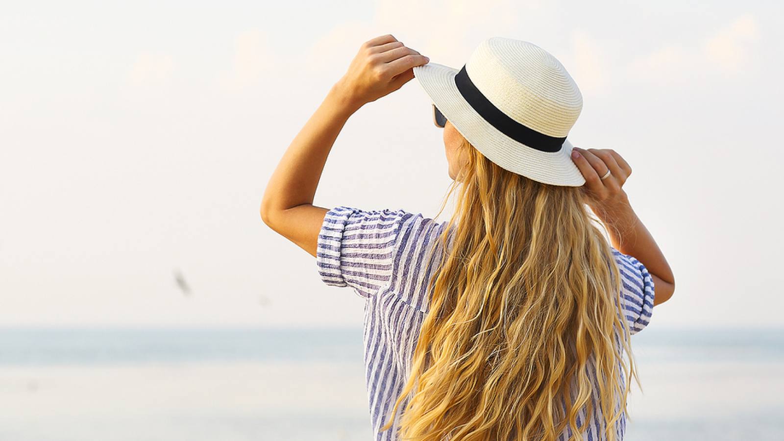 Sand Dollar Lifestyles logo