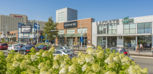 Atlantic City Visitor Info