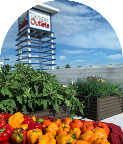 Inset photo of Tanger National Harbor, MD rooftop garden