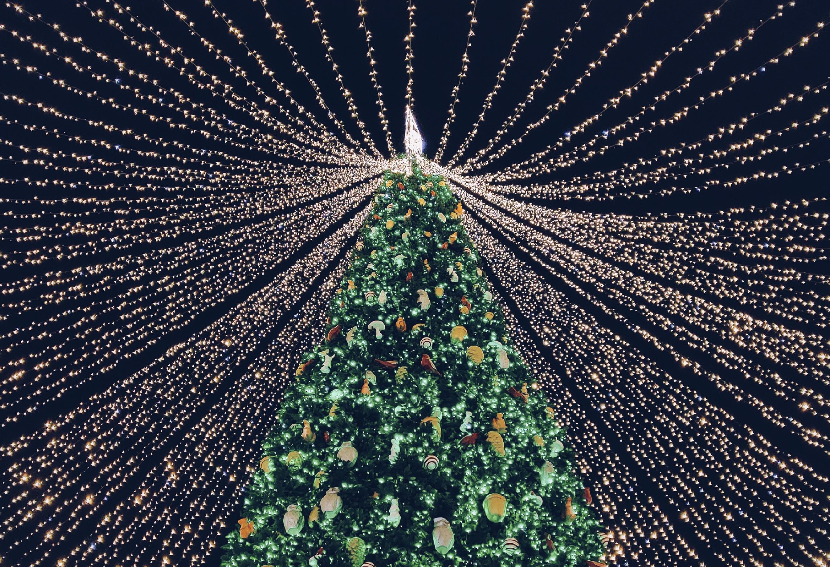 Holiday Tree Lighting & Santa's Arrival